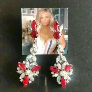 Red and Silver Earrings